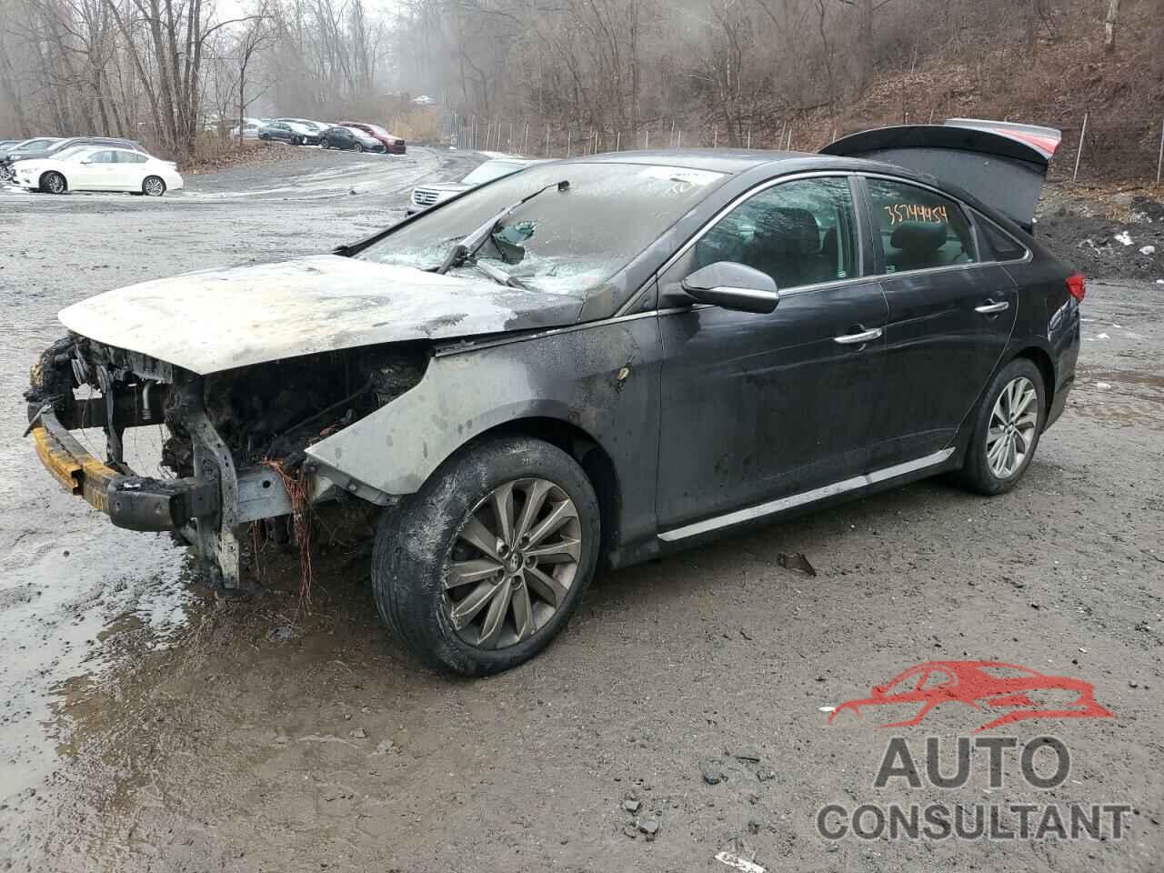 HYUNDAI SONATA 2017 - 5NPE34AF2HH570510