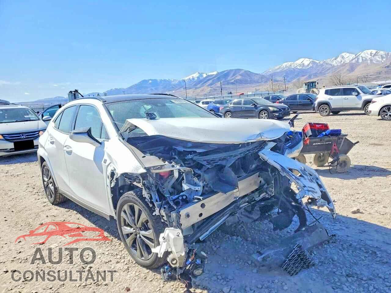 LEXUS UNKNOWN 2023 - JTHB9JBH9P2064896