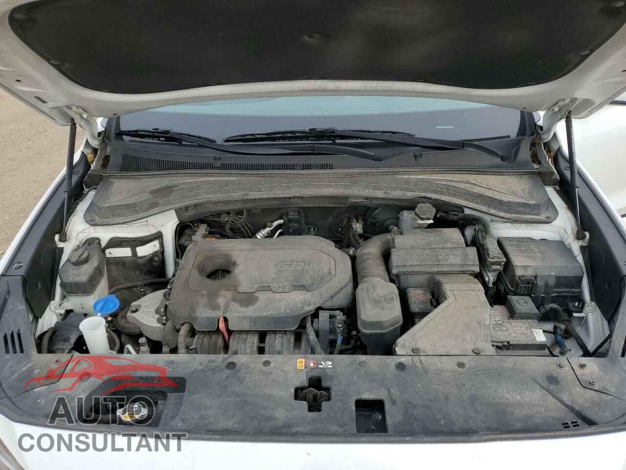 HYUNDAI SANTA FE 2019 - 5NMS33AD6KH082810