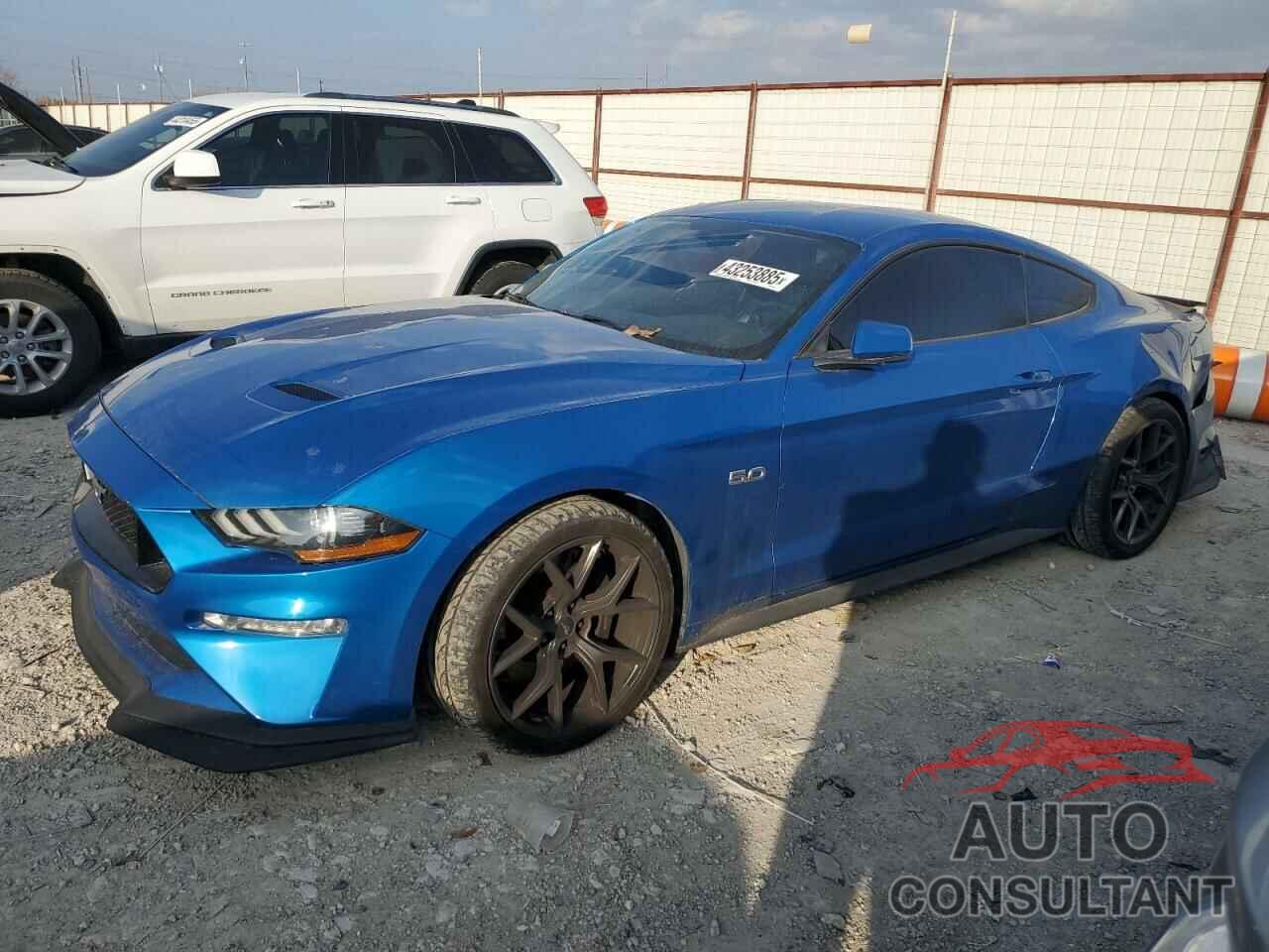 FORD MUSTANG 2019 - 1FA6P8CF6K5128288