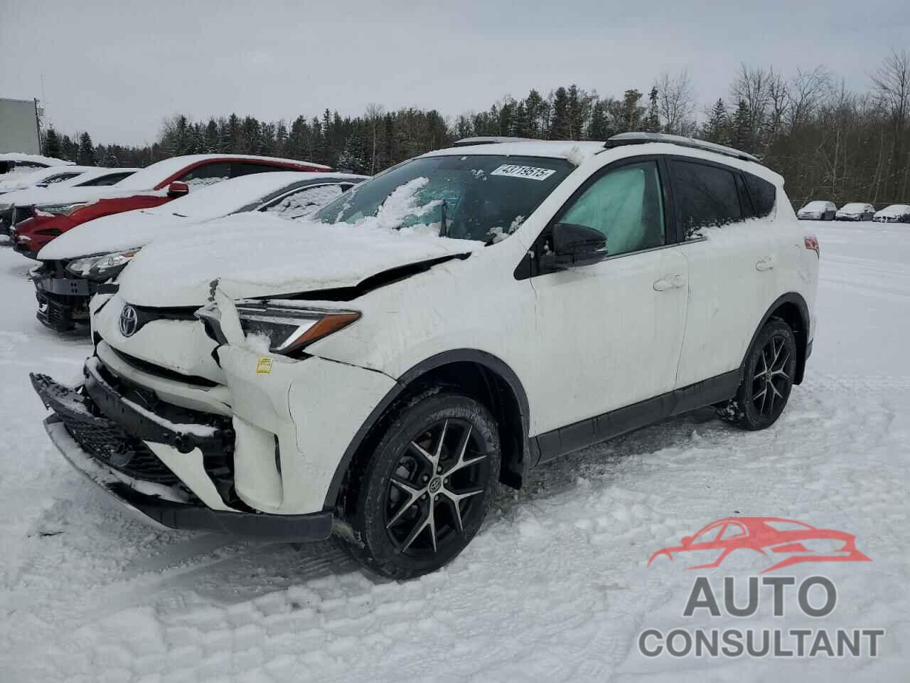 TOYOTA RAV4 2016 - 2T3JFREV9GW537757