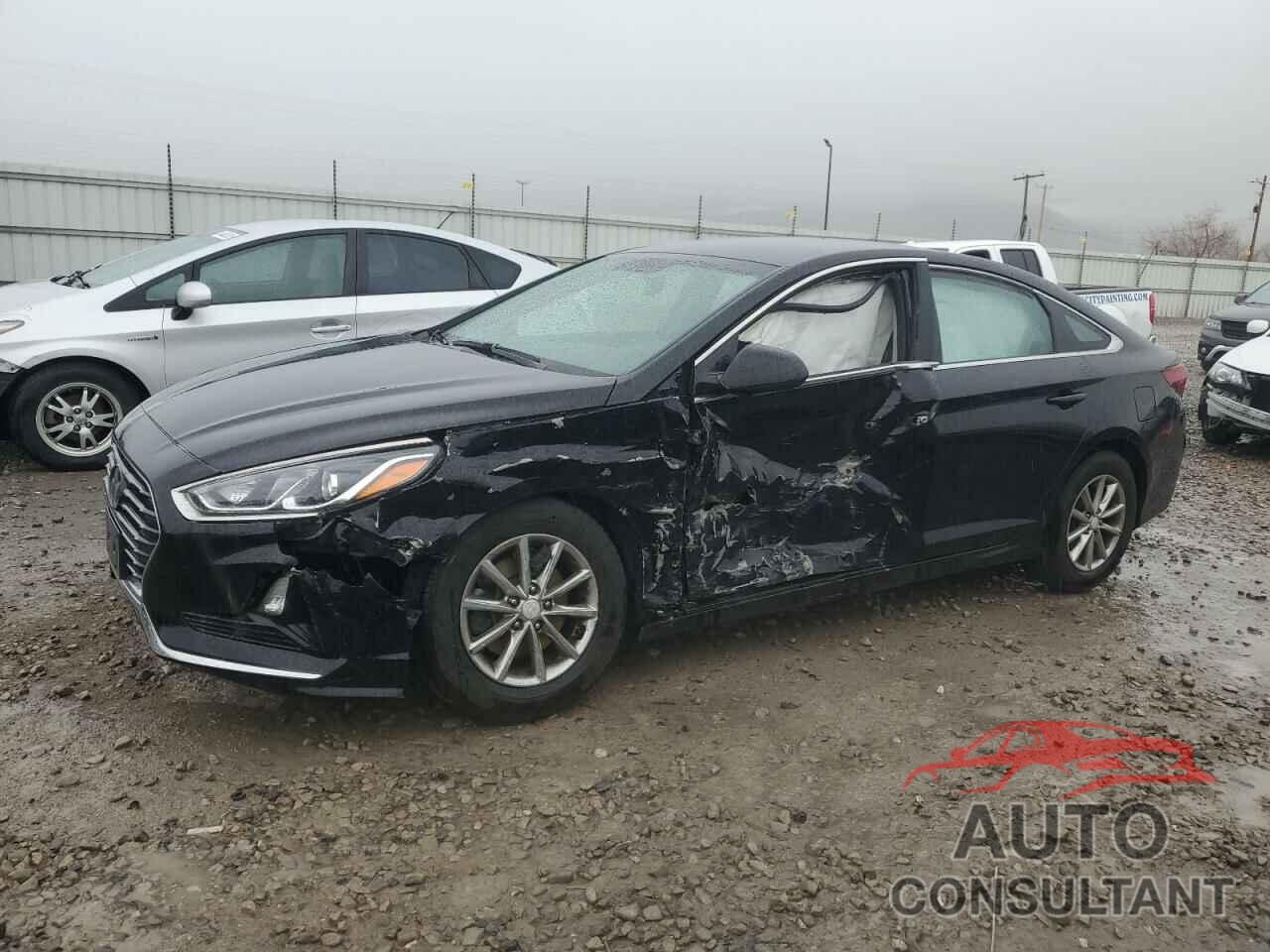 HYUNDAI SONATA 2019 - 5NPE24AF2KH762083