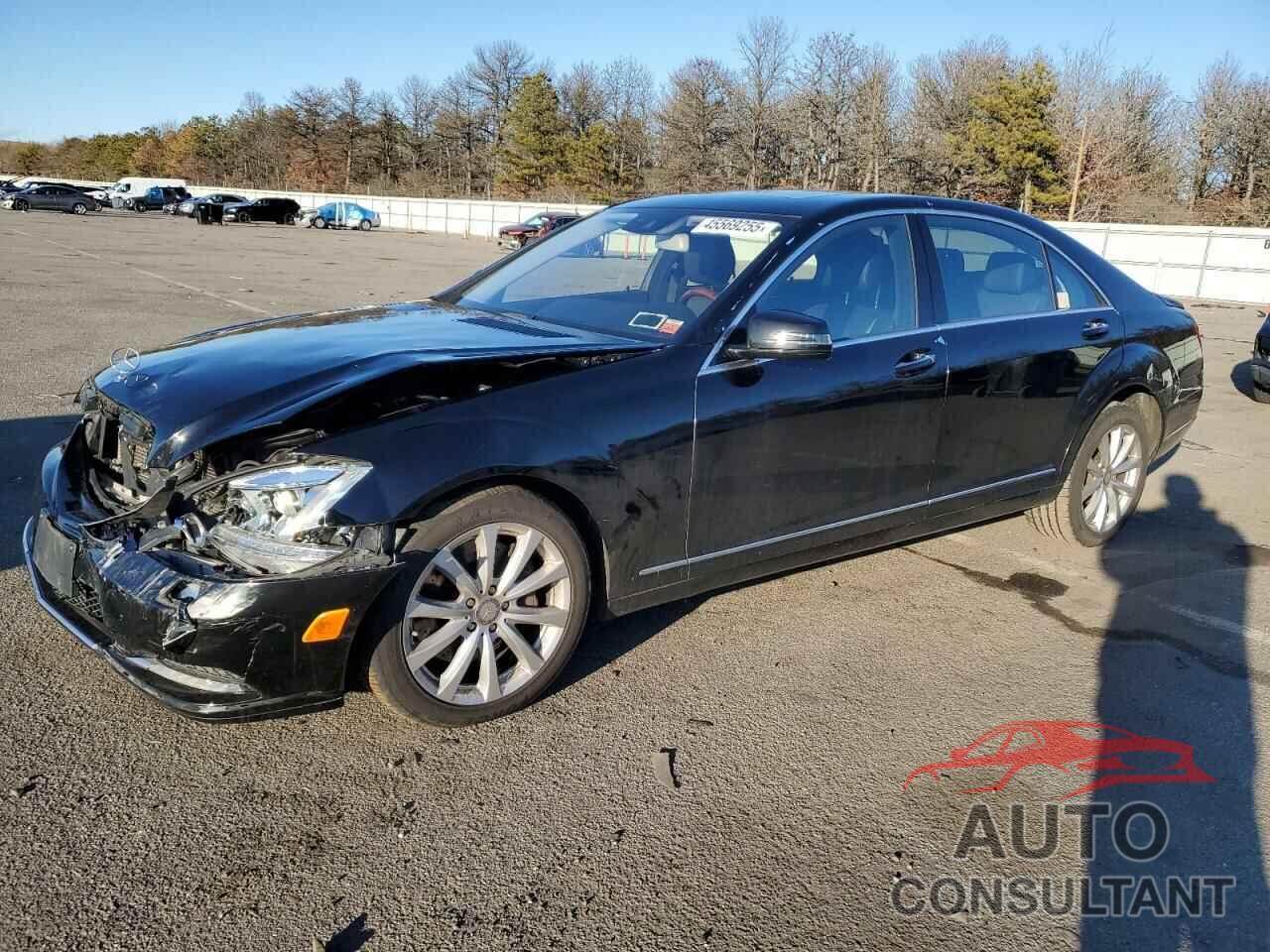MERCEDES-BENZ S-CLASS 2013 - WDDNG8DB8DA524370