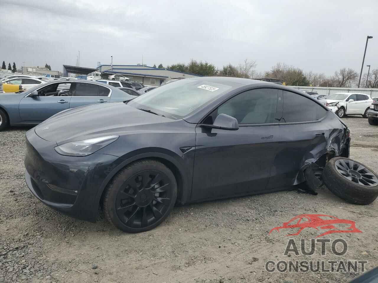 TESLA MODEL Y 2024 - 7SAYGDEE5RF073327