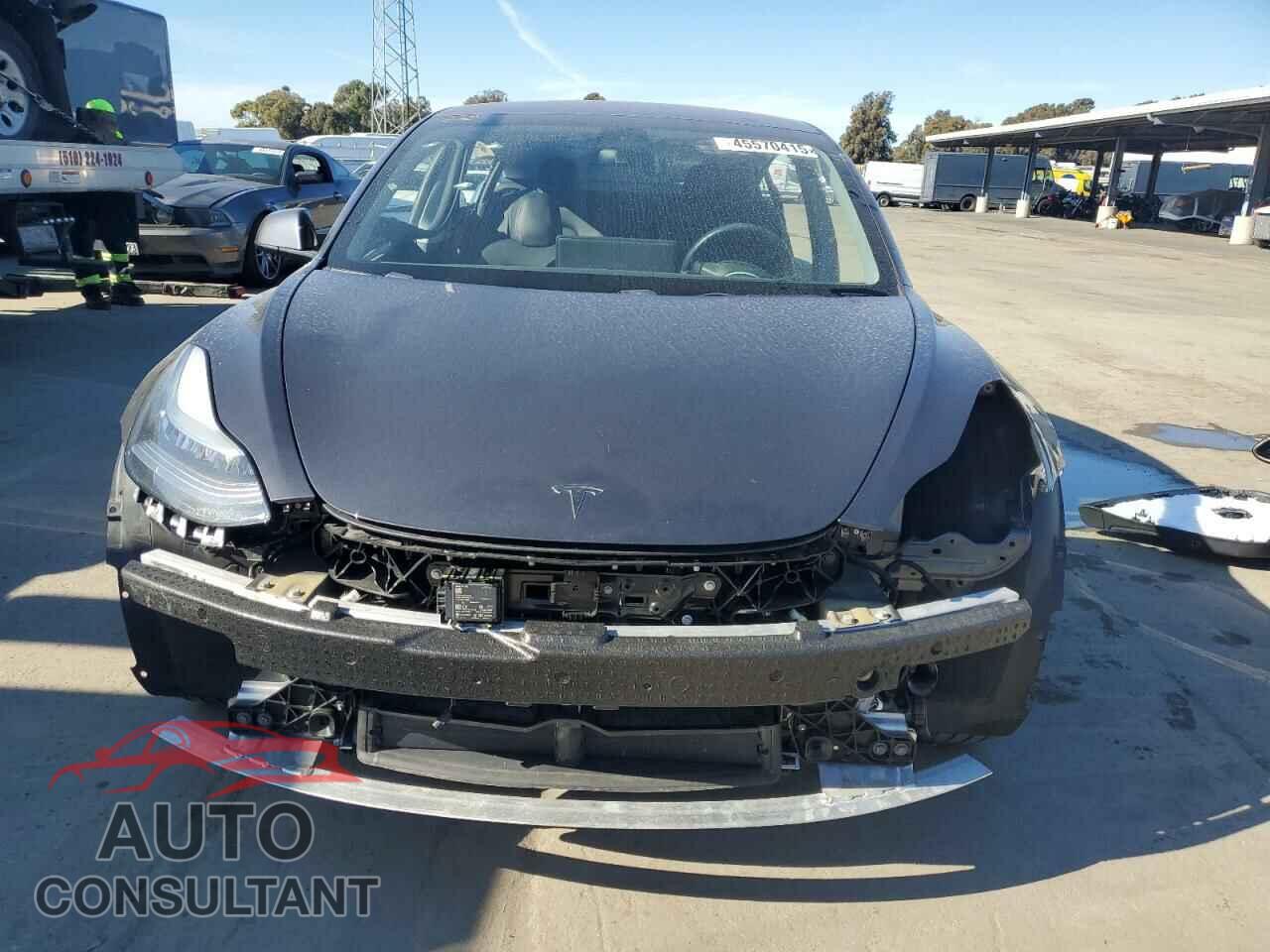 TESLA MODEL 3 2019 - 5YJ3E1EA9KF338197