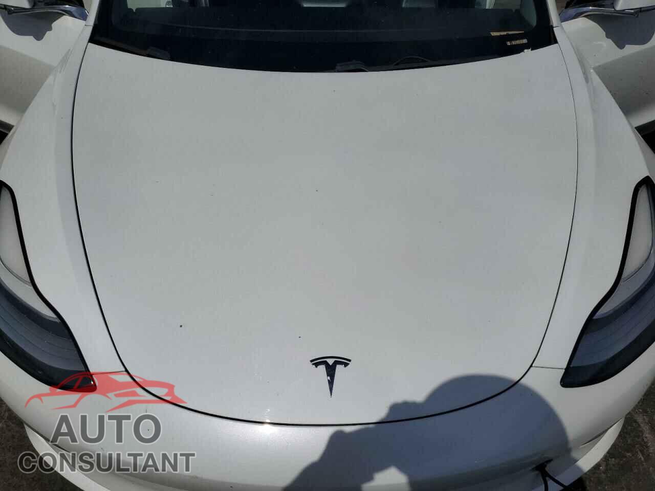 TESLA MODEL 3 2019 - 5YJ3E1EB6KF388242