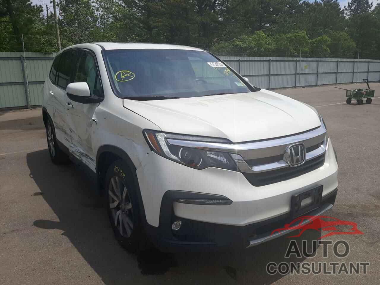 HONDA PILOT 2019 - 5FNYF6H54KB075566