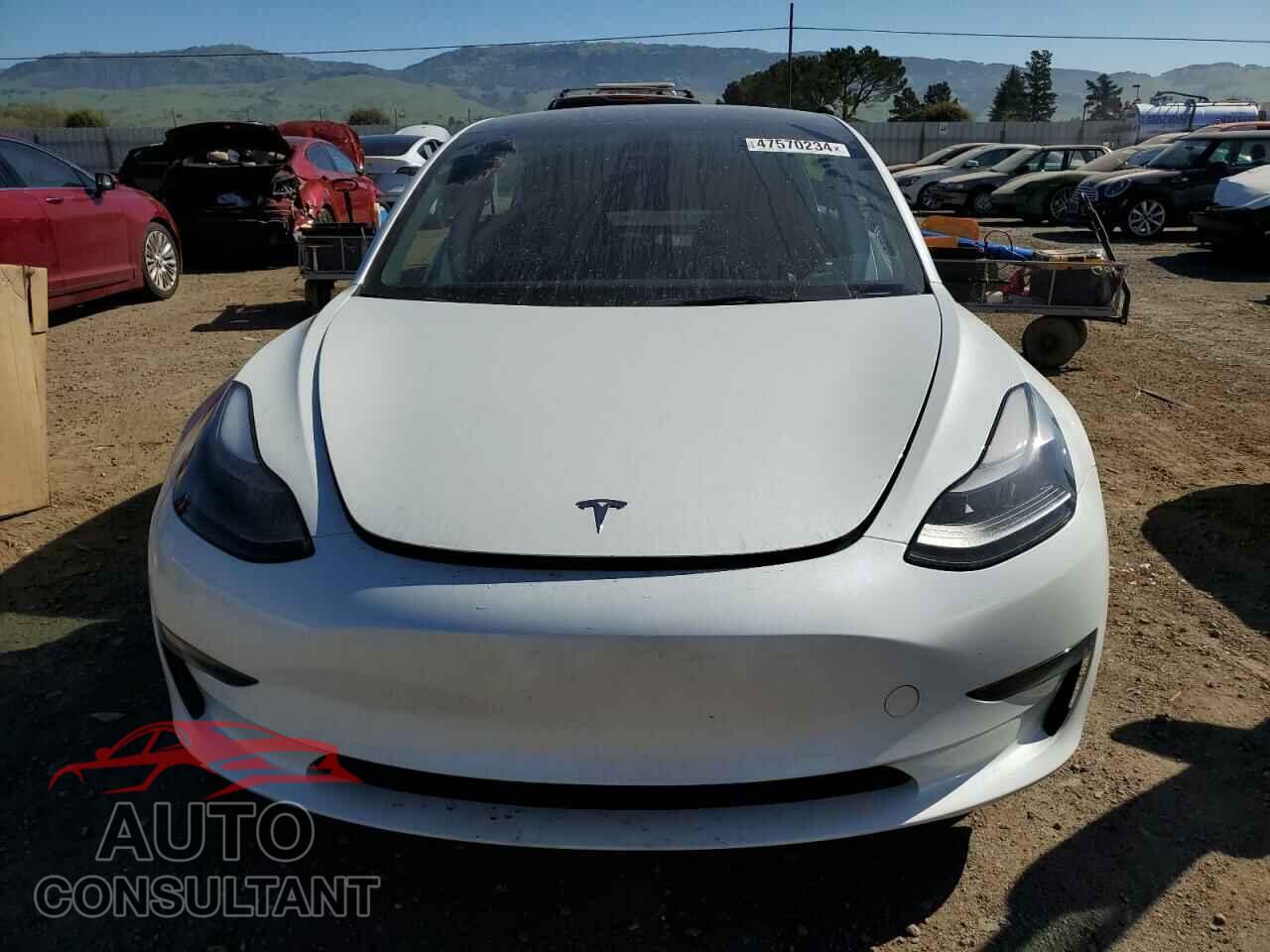 TESLA MODEL 3 2023 - 5YJ3E1EA1PF555539