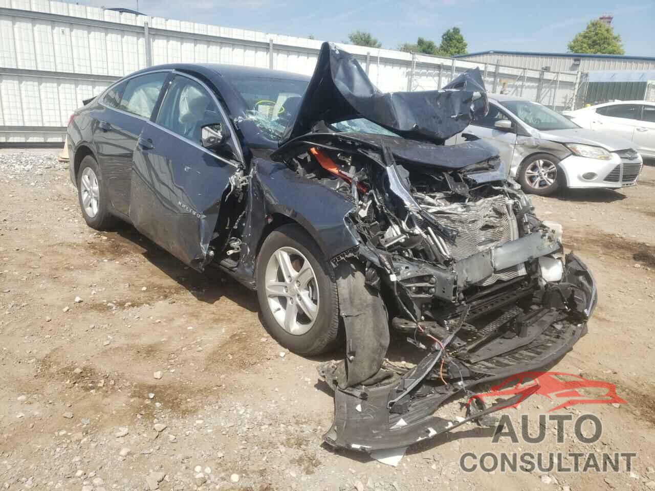 CHEVROLET MALIBU 2019 - 1G1ZB5ST8KF190693