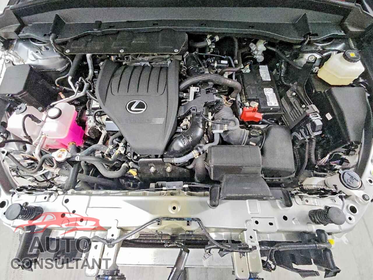 LEXUS UNKNOWN 2024 - 5TDAAAB6XRS009226