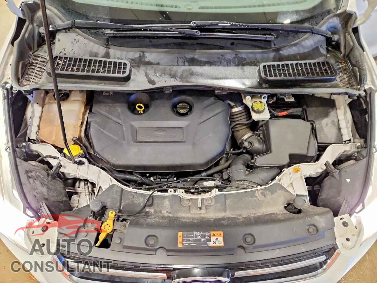 FORD ESCAPE 2014 - 1FMCU9J90EUD62425