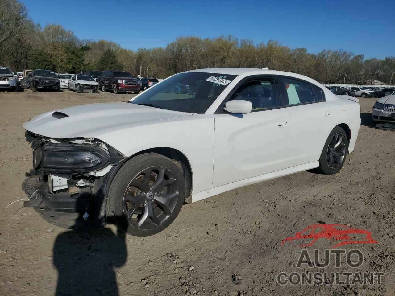 DODGE CHARGER 2019 - 2C3CDXHGXKH565550