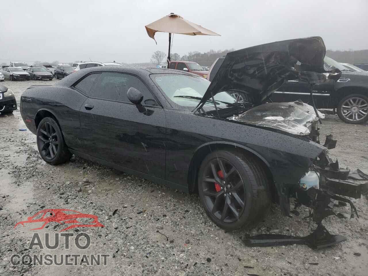 DODGE CHALLENGER 2019 - 2C3CDZAG7KH521446