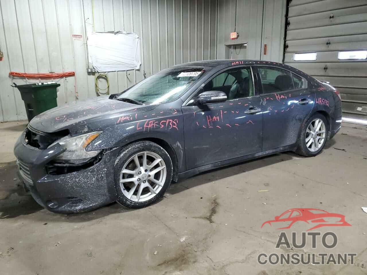 NISSAN MAXIMA 2009 - 1N4AA51EX9C816871