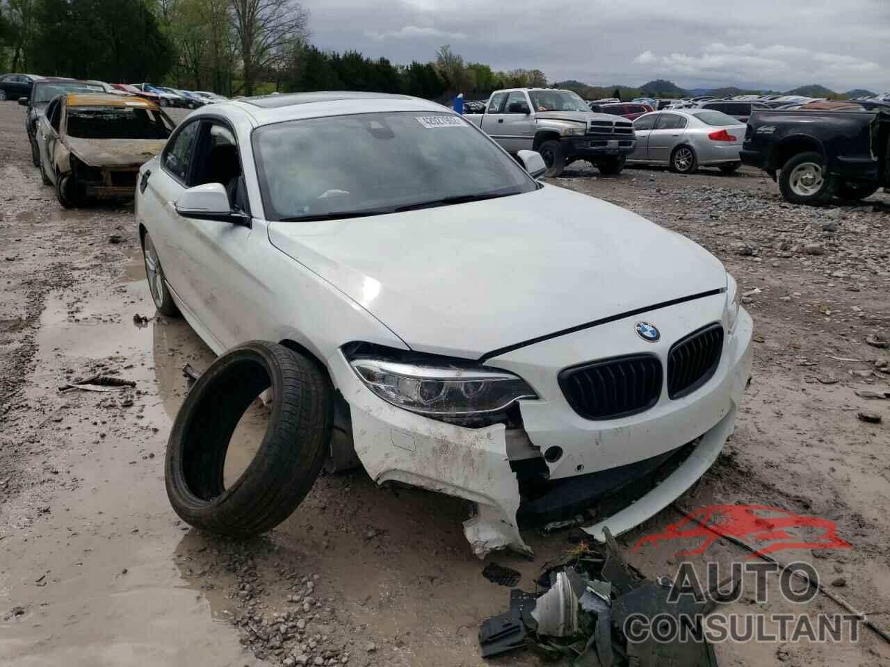 BMW 2 SERIES 2016 - WBA1F9C56GV742623