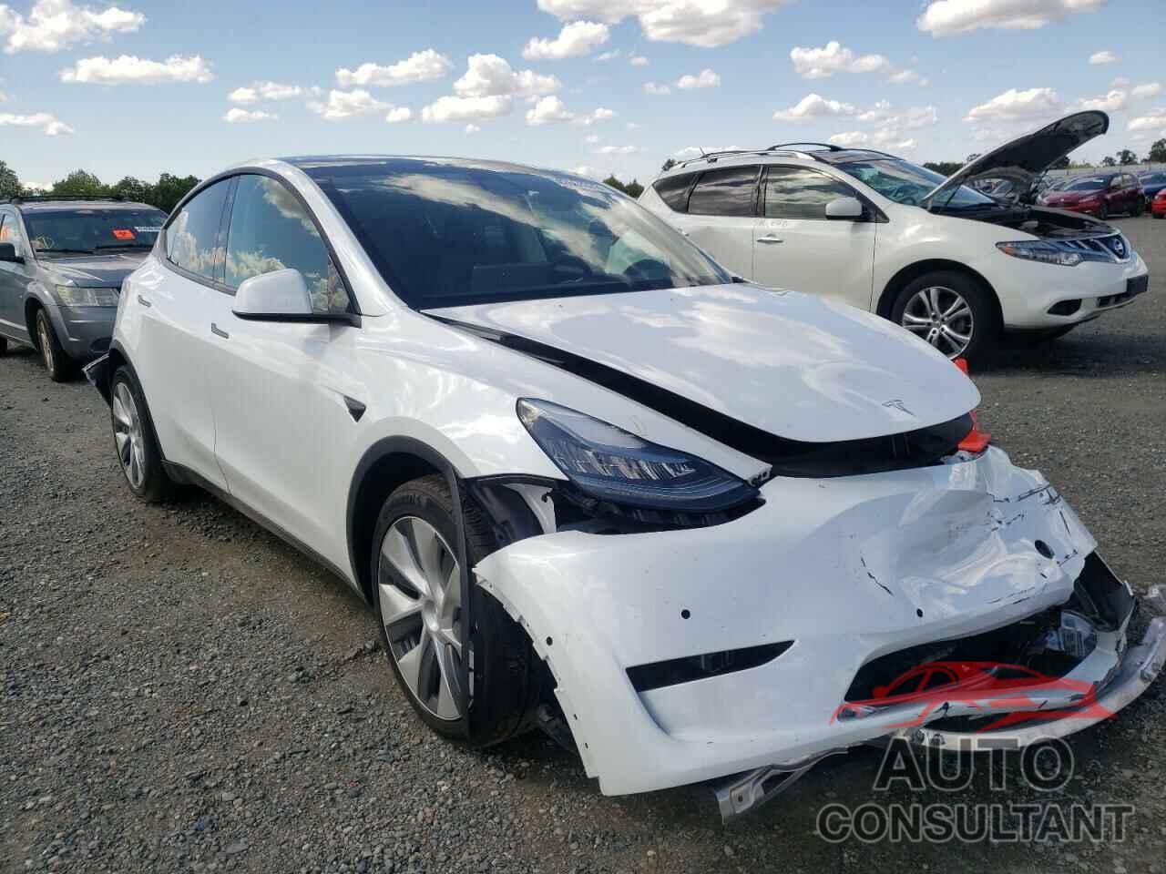 TESLA MODEL Y 2021 - 5YJYGDEE8MF150259