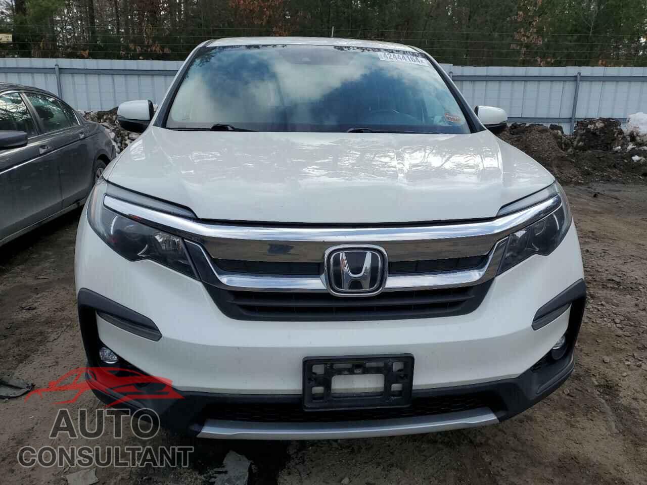 HONDA PILOT 2019 - 5FNYF6H58KB044353