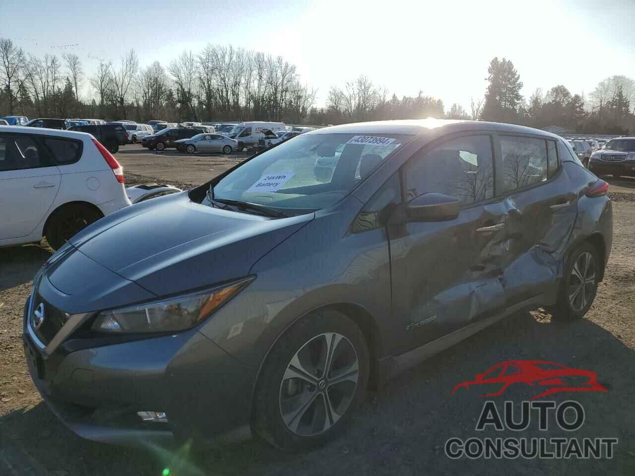 NISSAN LEAF 2019 - 1N4AZ1CP6KC307379
