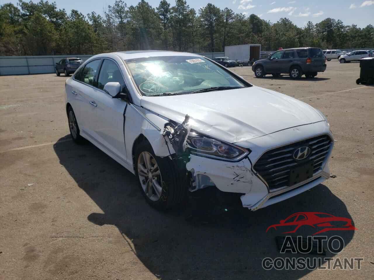 HYUNDAI SONATA 2018 - 5NPE34AF6JH604521