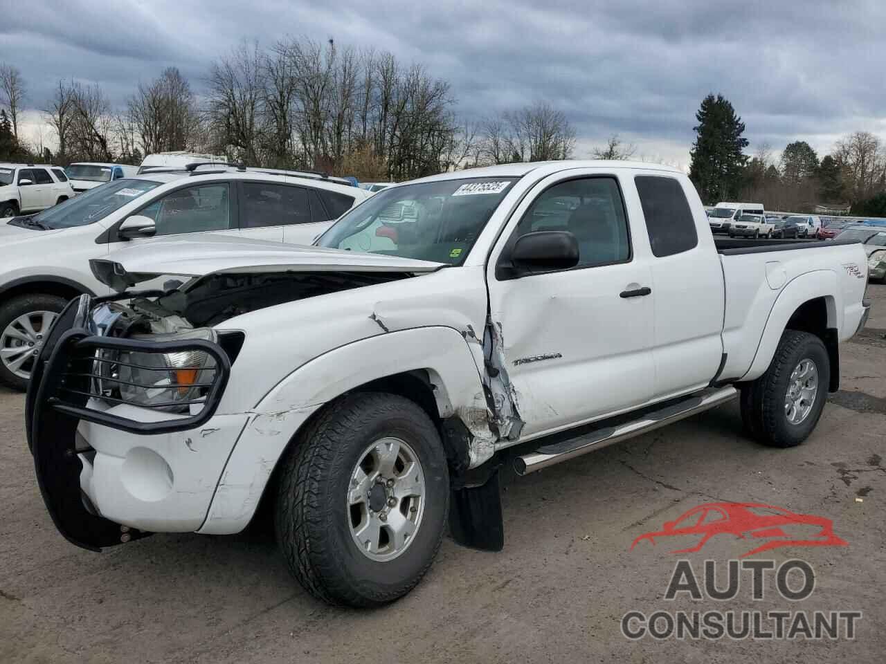 TOYOTA TACOMA 2009 - 5TEUU42N09Z624013