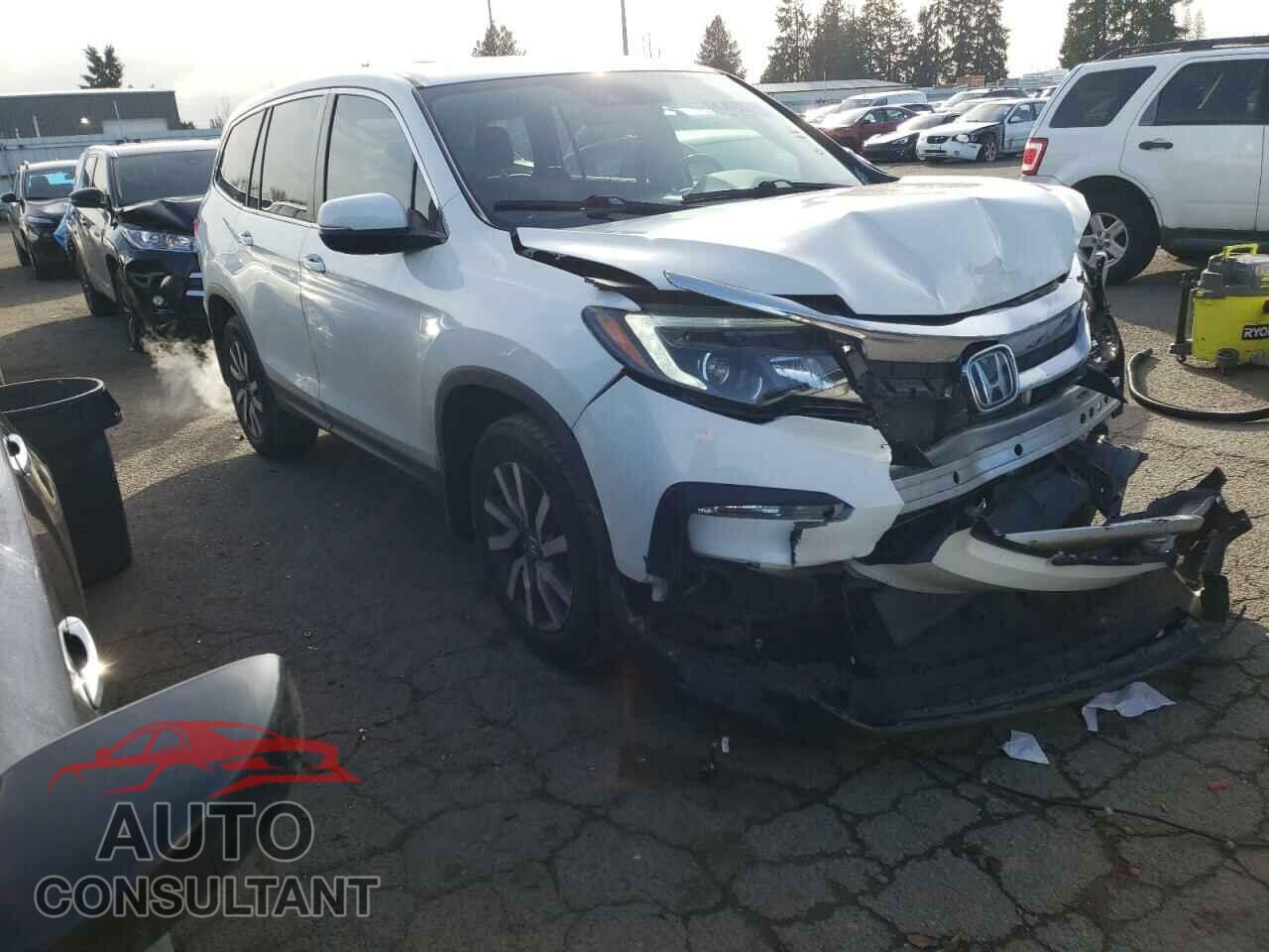 HONDA PILOT 2019 - 5FNYF6H43KB036233