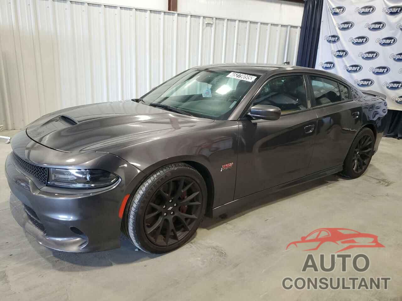 DODGE CHARGER 2018 - 2C3CDXGJ2JH336629