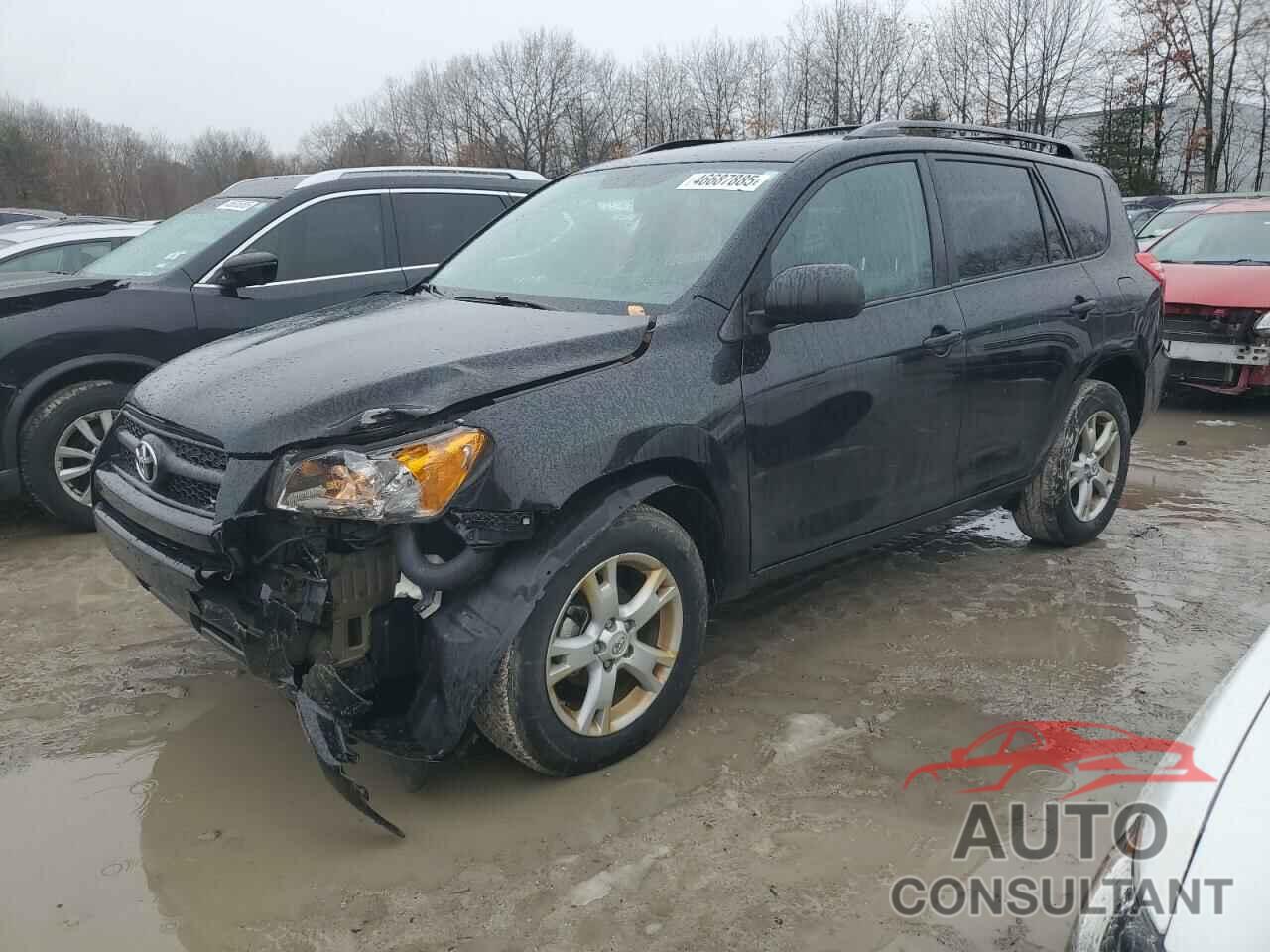 TOYOTA RAV4 2012 - 2T3BF4DV4CW240639