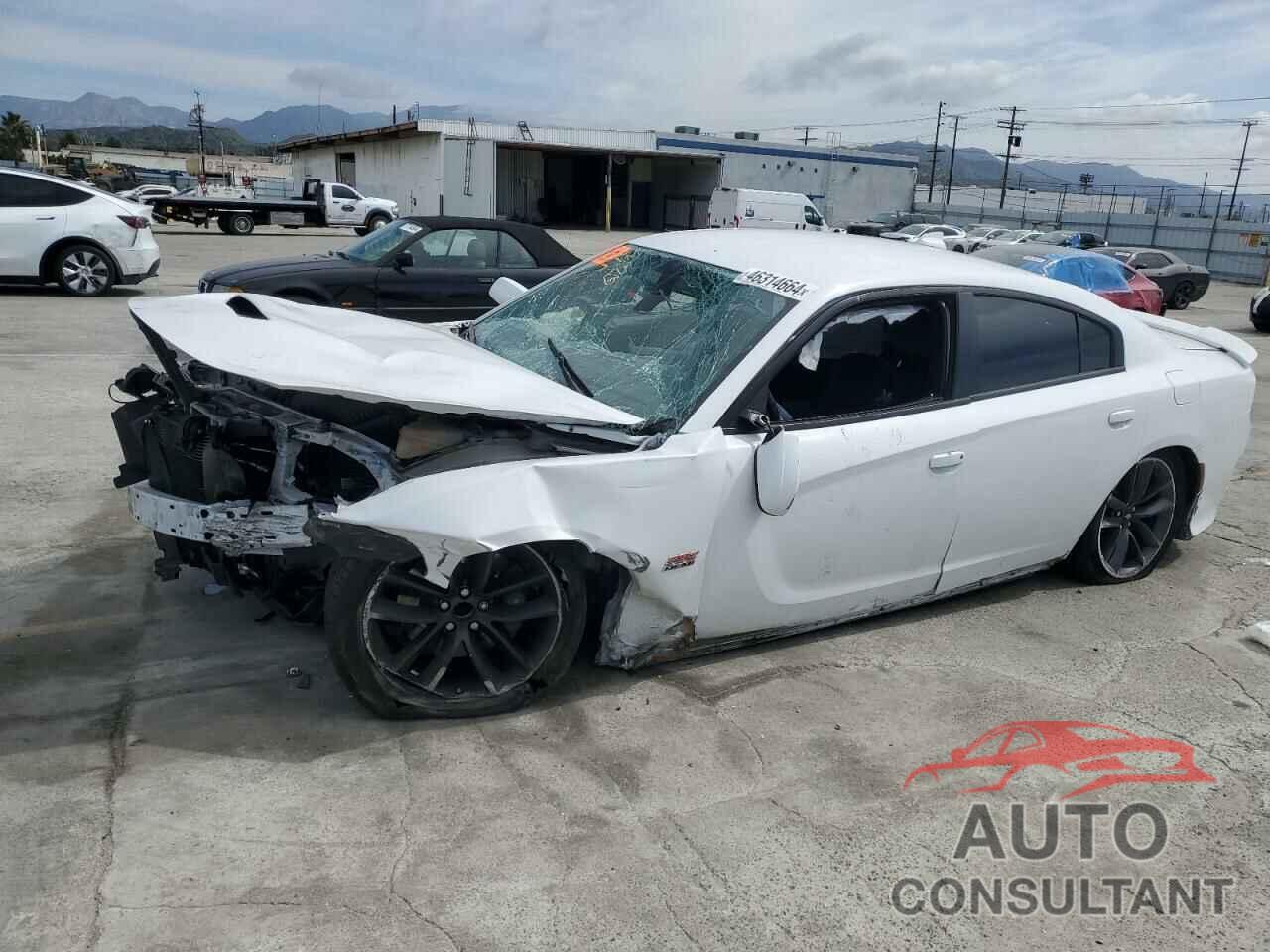 DODGE CHARGER 2019 - 2C3CDXGJ3KH635645