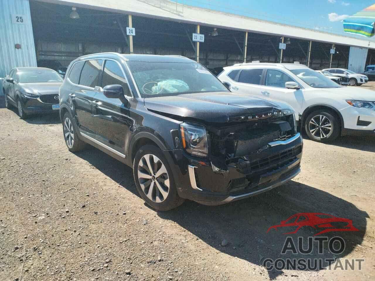 KIA TELLURIDE 2021 - 5XYP6DHC9MG159053