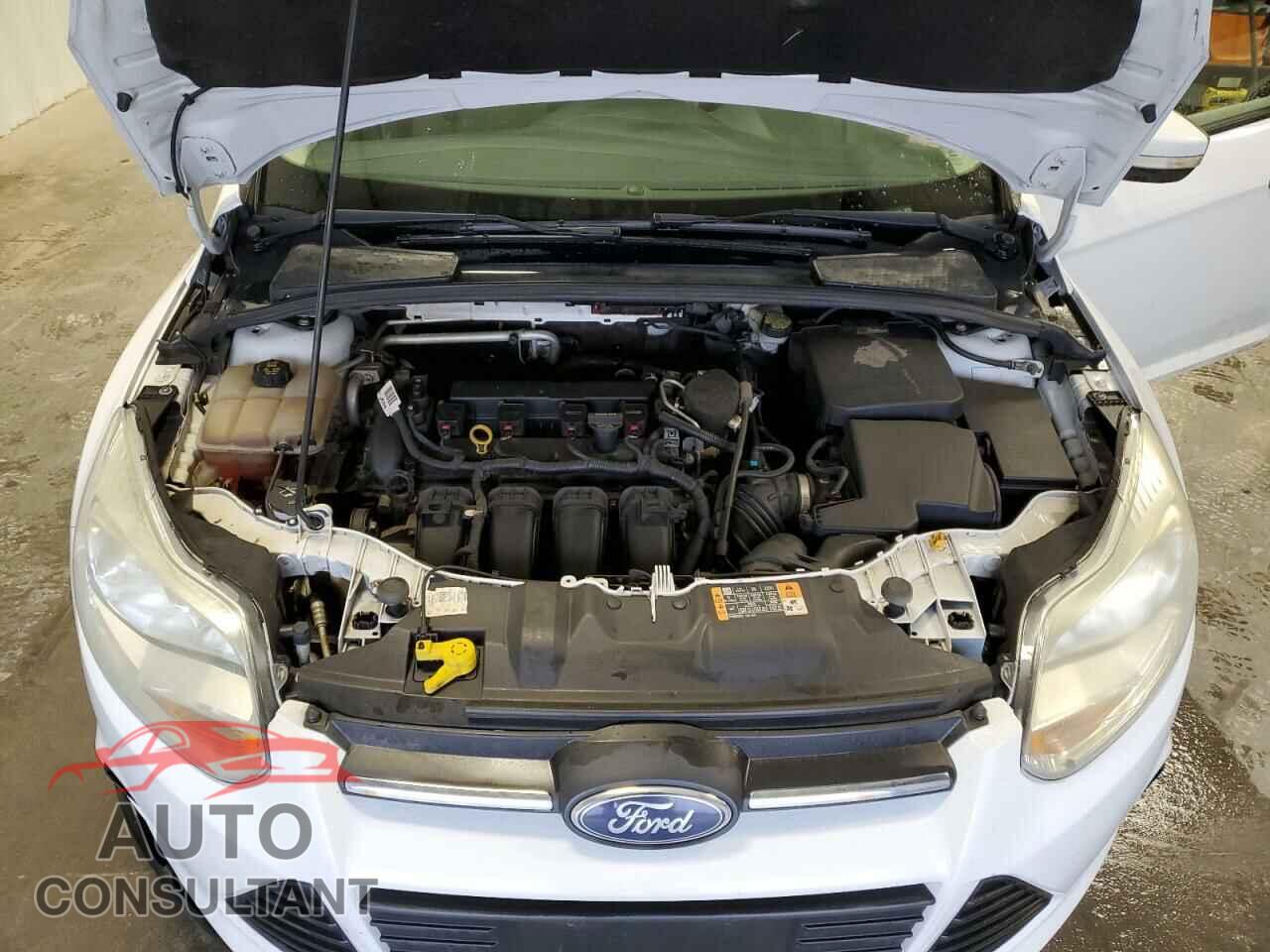 FORD FOCUS 2014 - 1FADP3F21EL365788