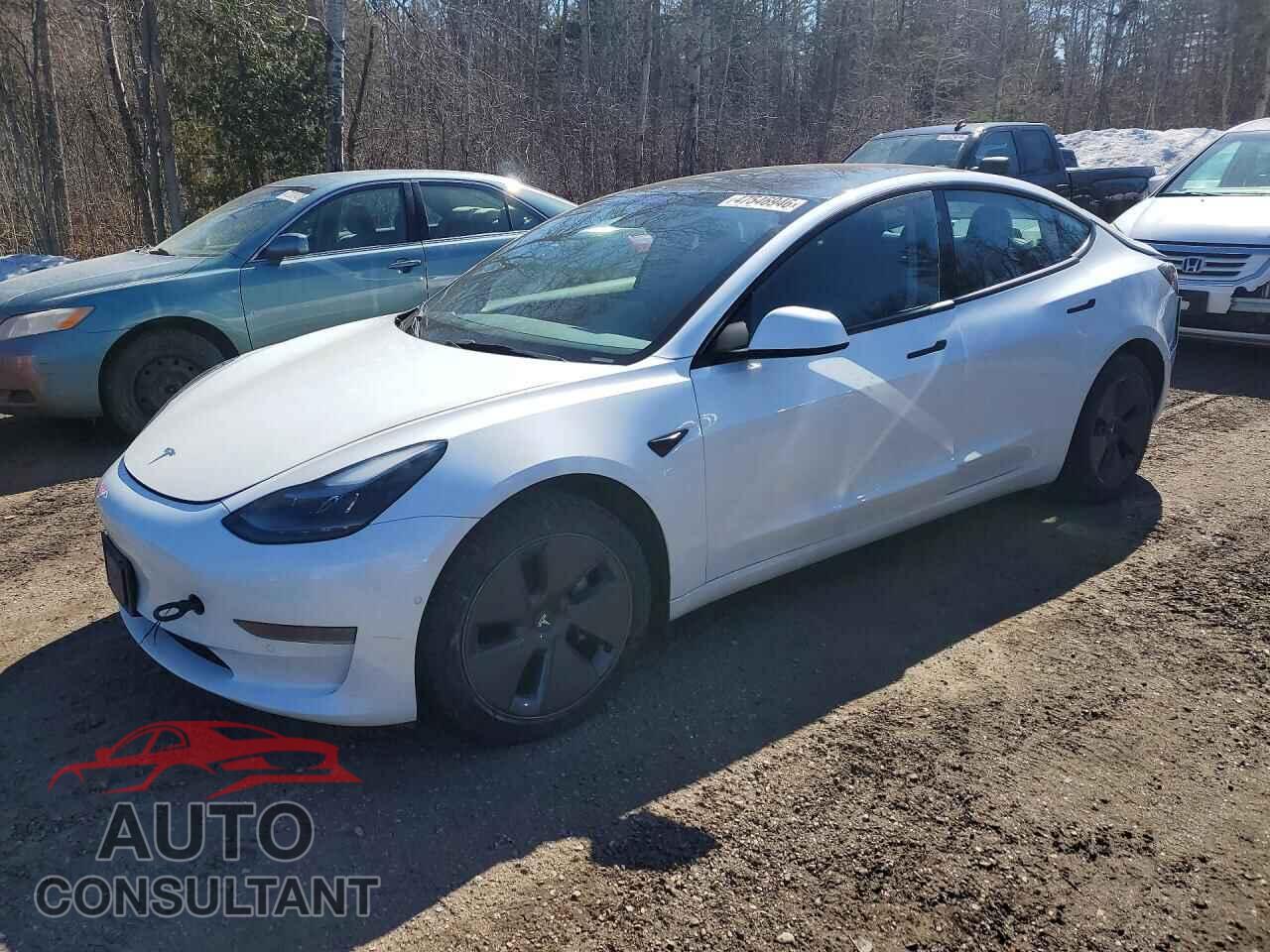 TESLA MODEL 3 2022 - 5YJ3E1EA6NF168756