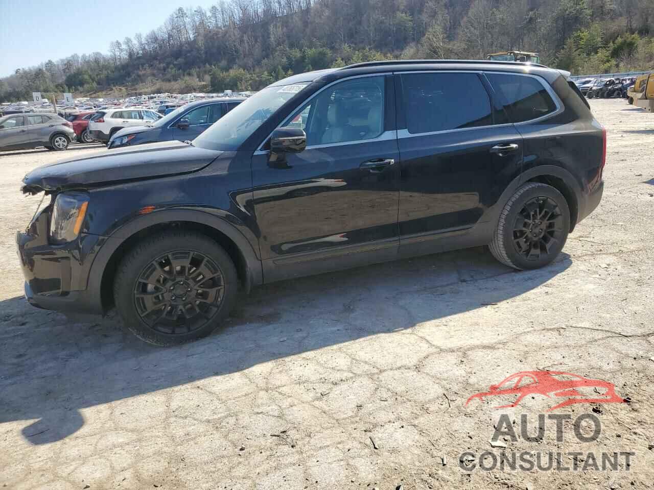 KIA TELLURIDE 2021 - 5XYP5DHC8MG124720