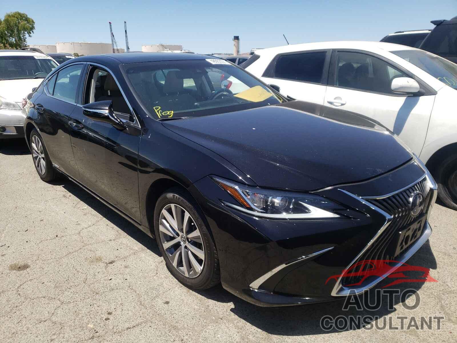 LEXUS ES300 2020 - 58AD21B17LU004457