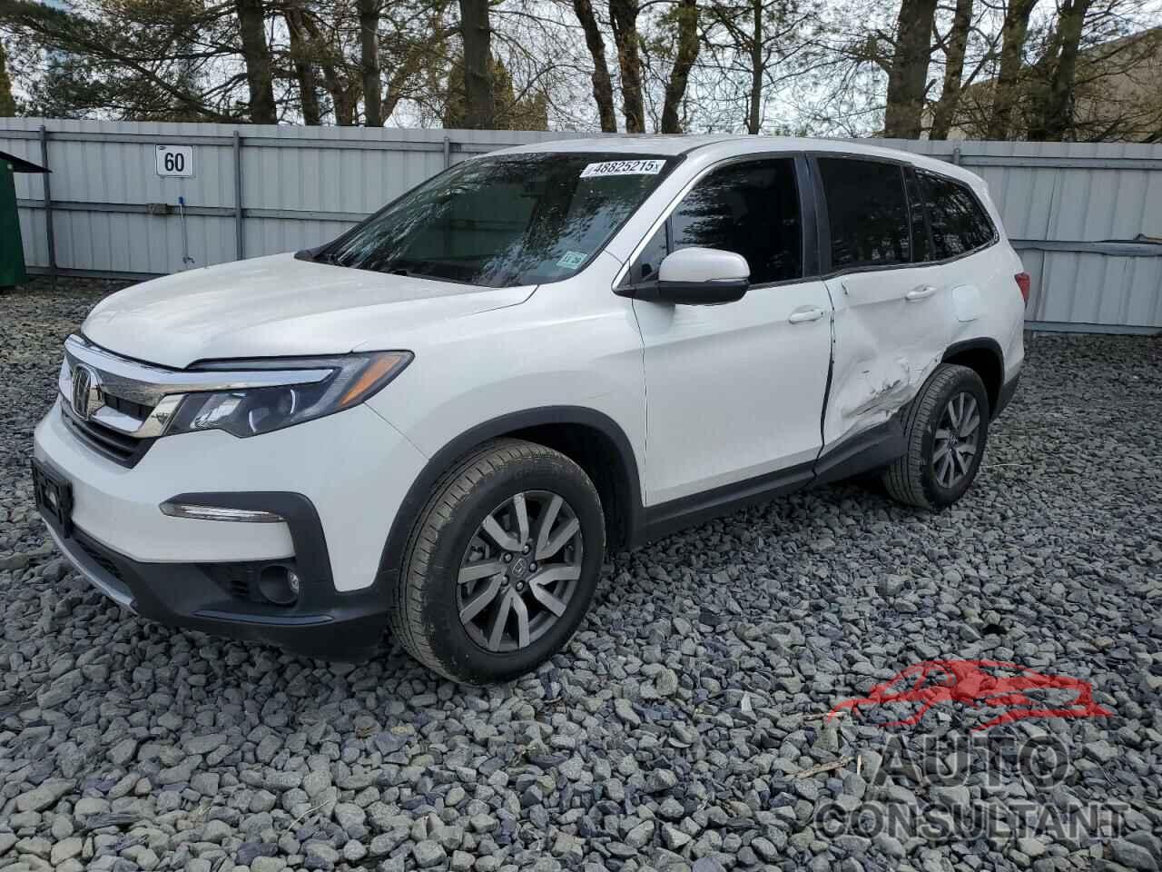 HONDA PILOT 2021 - 5FNYF6H50MB101275