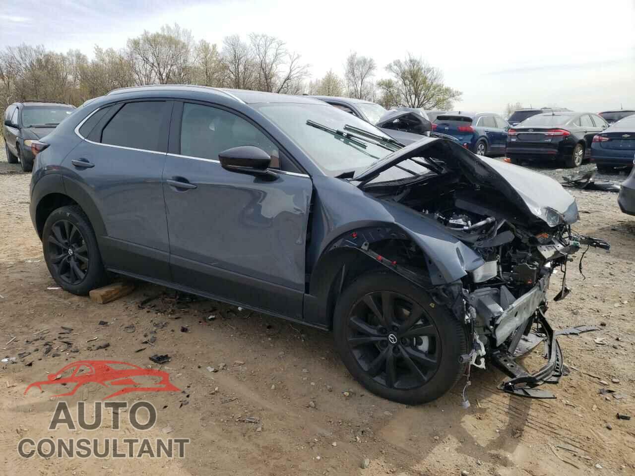 MAZDA CX30 2023 - 3MVDMBCM2PM538303