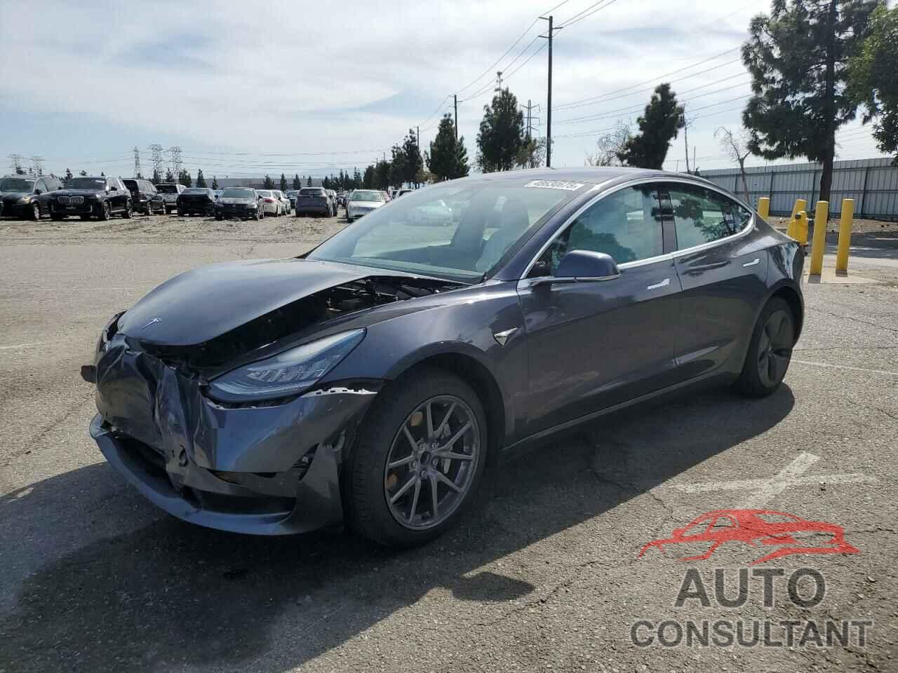 TESLA MODEL 3 2019 - 5YJ3E1EA0KF445185