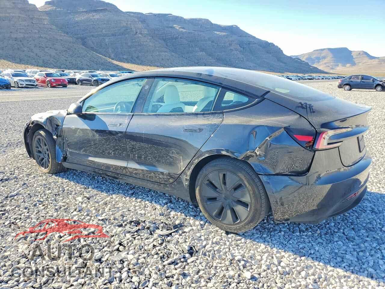 TESLA MODEL 3 2024 - 5YJ3E1EA1RF830717