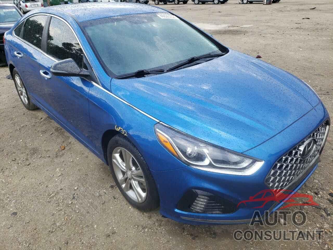 HYUNDAI SONATA 2019 - 5NPE34AF5KH748479