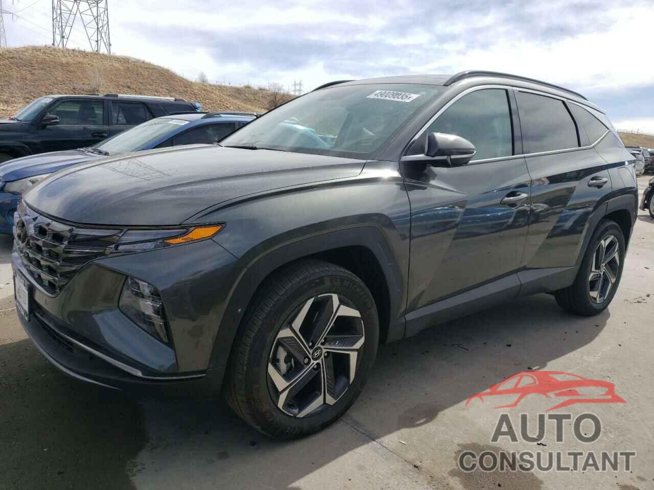 HYUNDAI TUCSON 2024 - KM8JFDD24RU245309