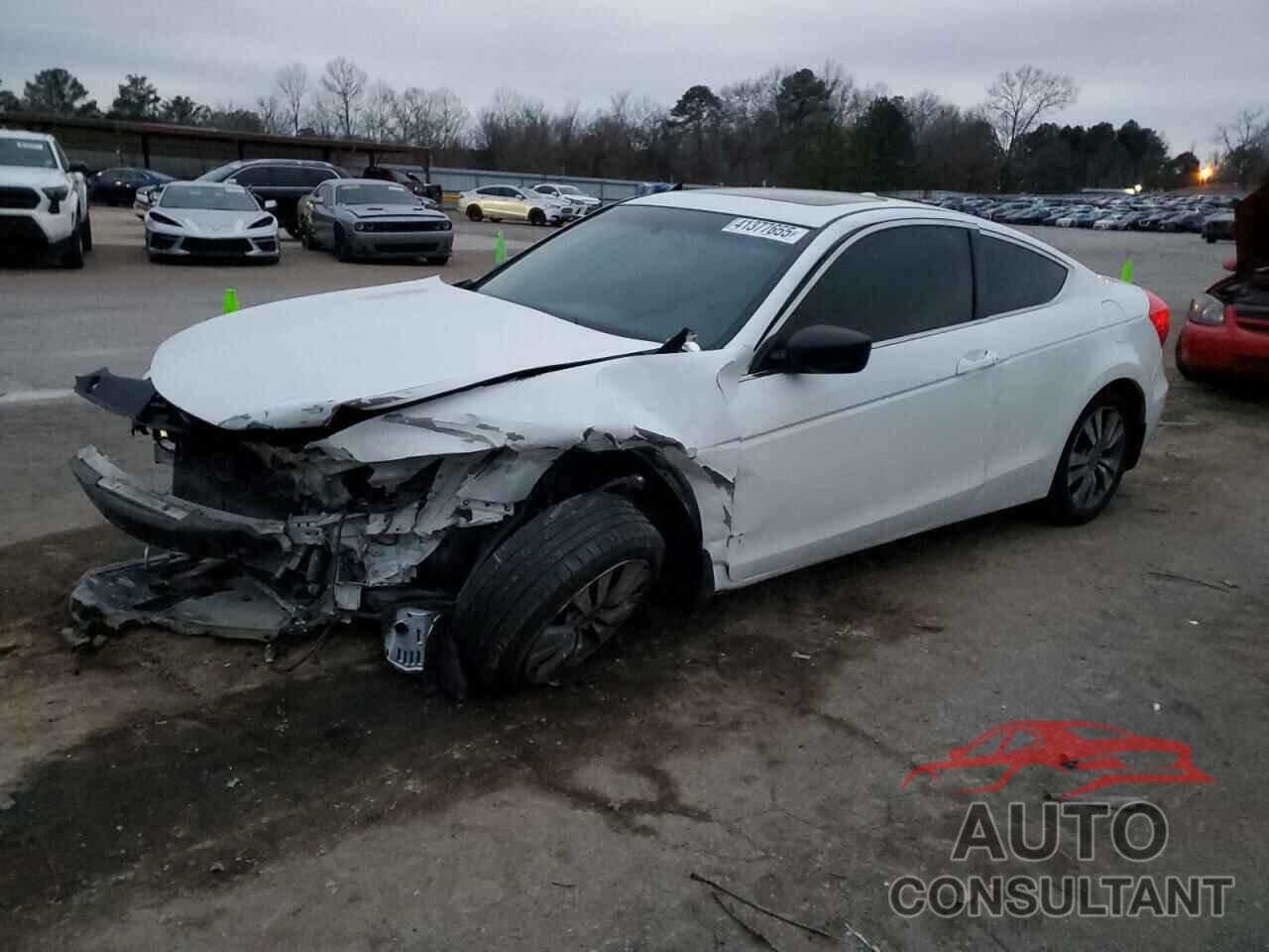HONDA ACCORD 2011 - 1HGCS1B82BA009510