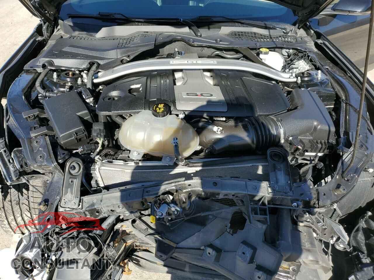 FORD MUSTANG 2019 - 1FA6P8CF2K5120575