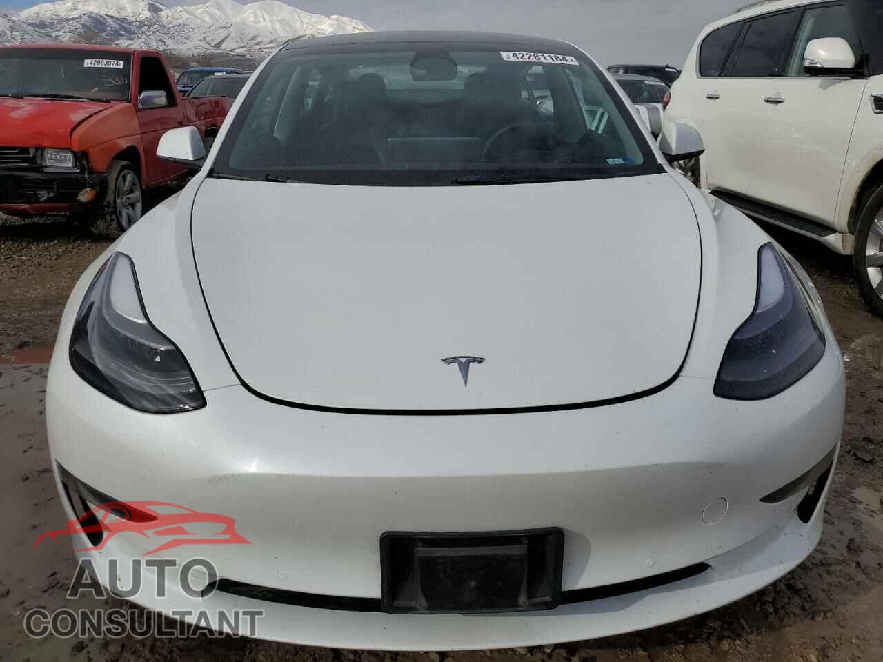 TESLA MODEL 3 2022 - 5YJ3E1EB0NF317204
