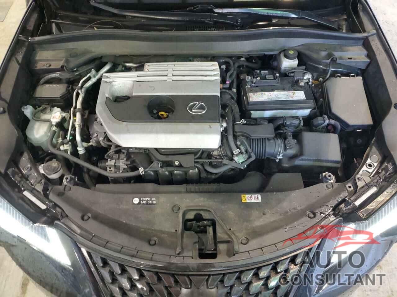 LEXUS UX 200 2021 - JTHX3JBH4M2043831