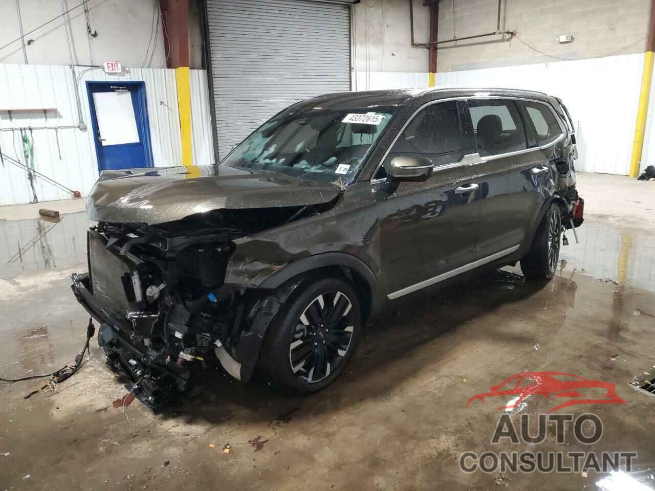 KIA TELLURIDE 2023 - 5XYP5DGC4PG355197