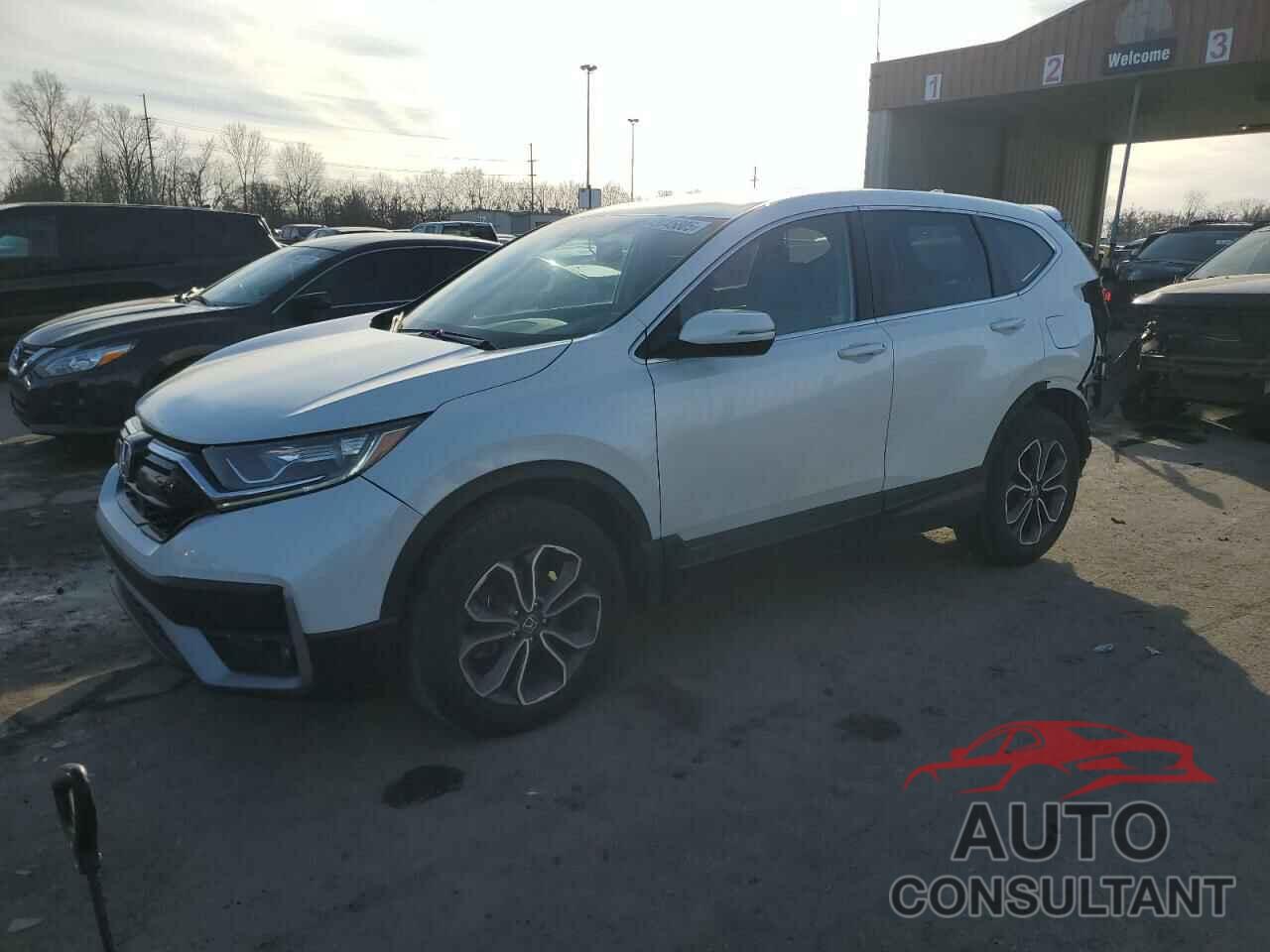 HONDA CRV 2020 - 2HKRW2H84LH635421