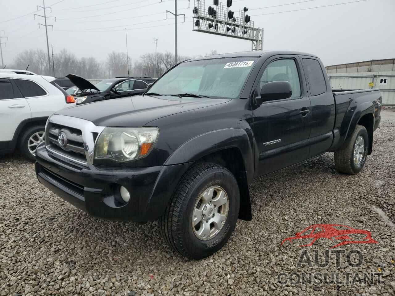 TOYOTA TACOMA 2009 - 5TETU62N79Z625540