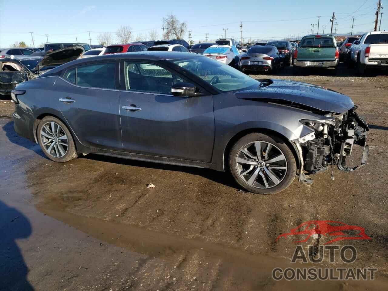 NISSAN MAXIMA 2021 - 1N4AA6CV4MC508851