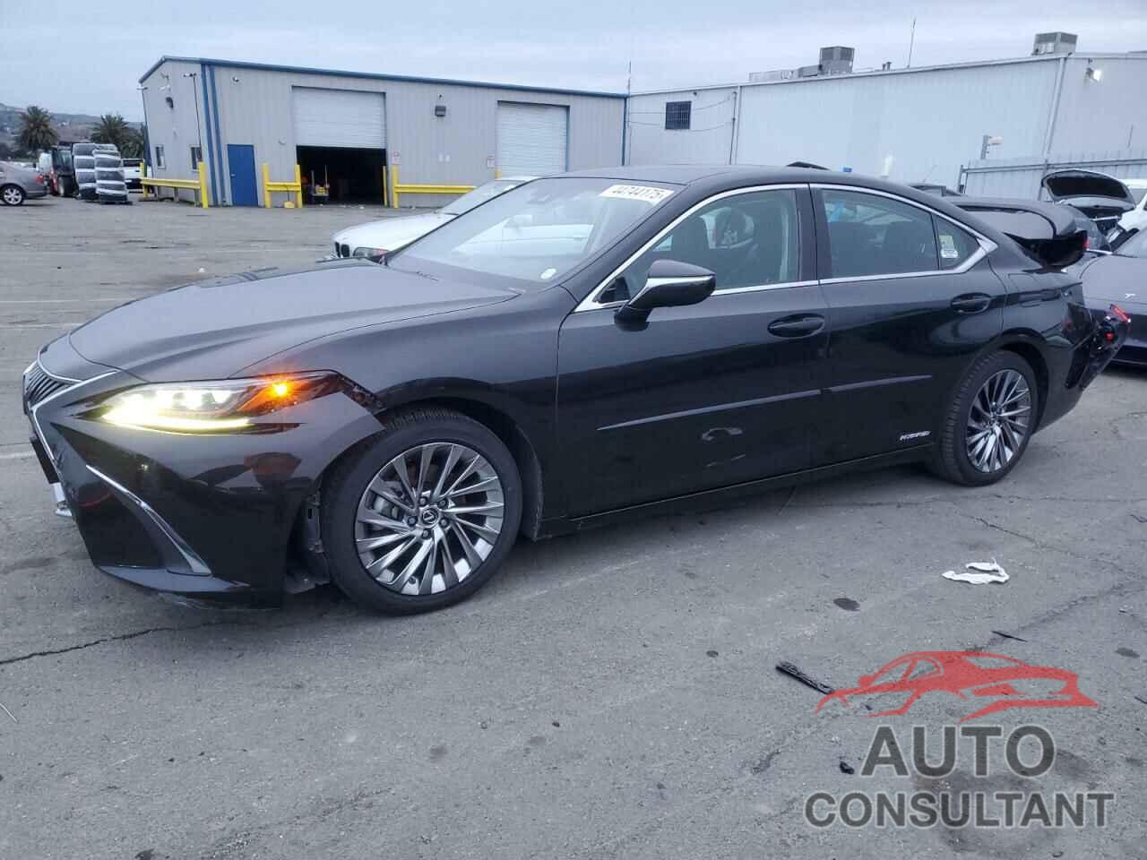 LEXUS ES300 2021 - 58AEA1C13MU010134