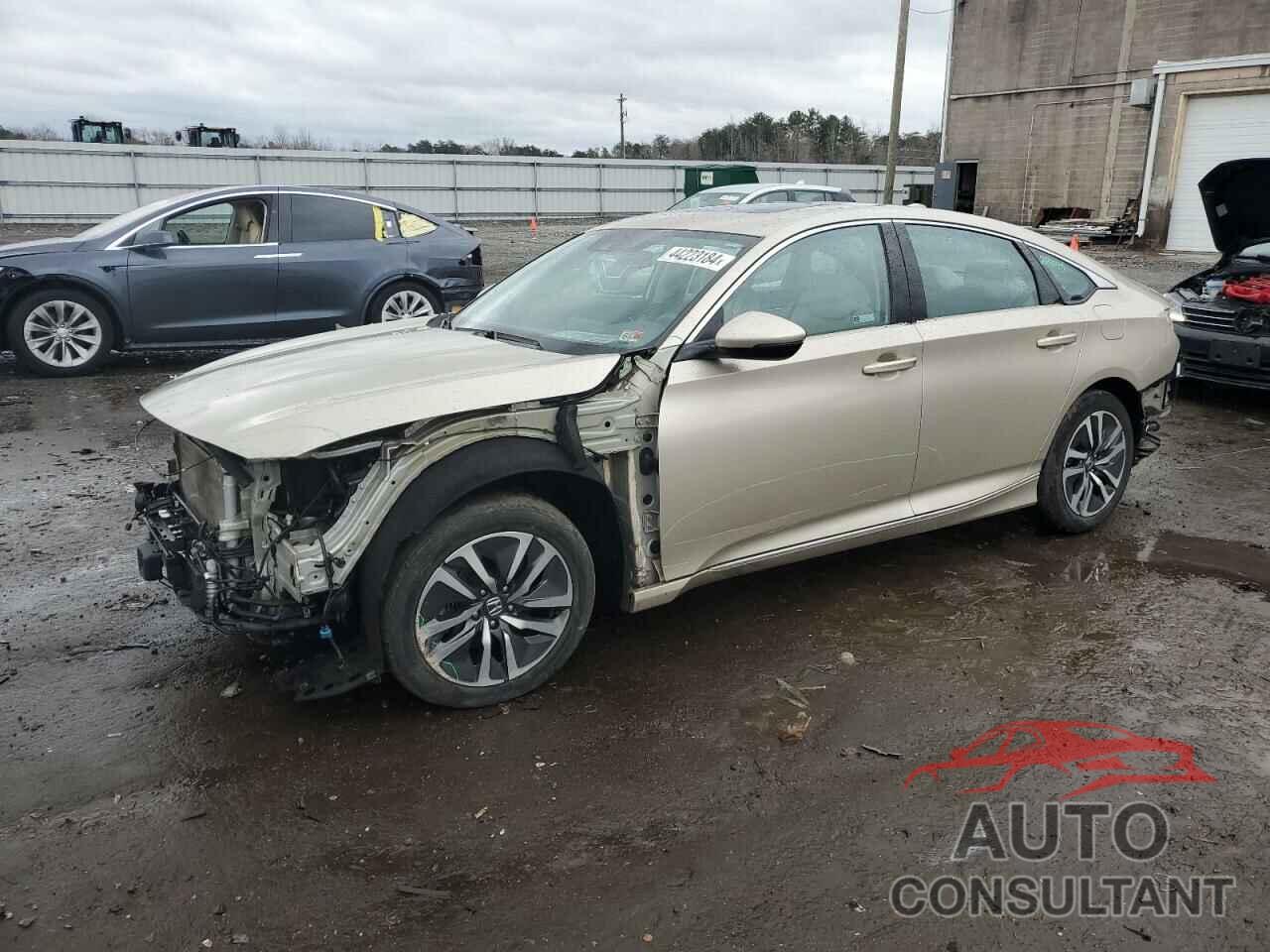 HONDA ACCORD 2019 - 1HGCV3F50KA008097