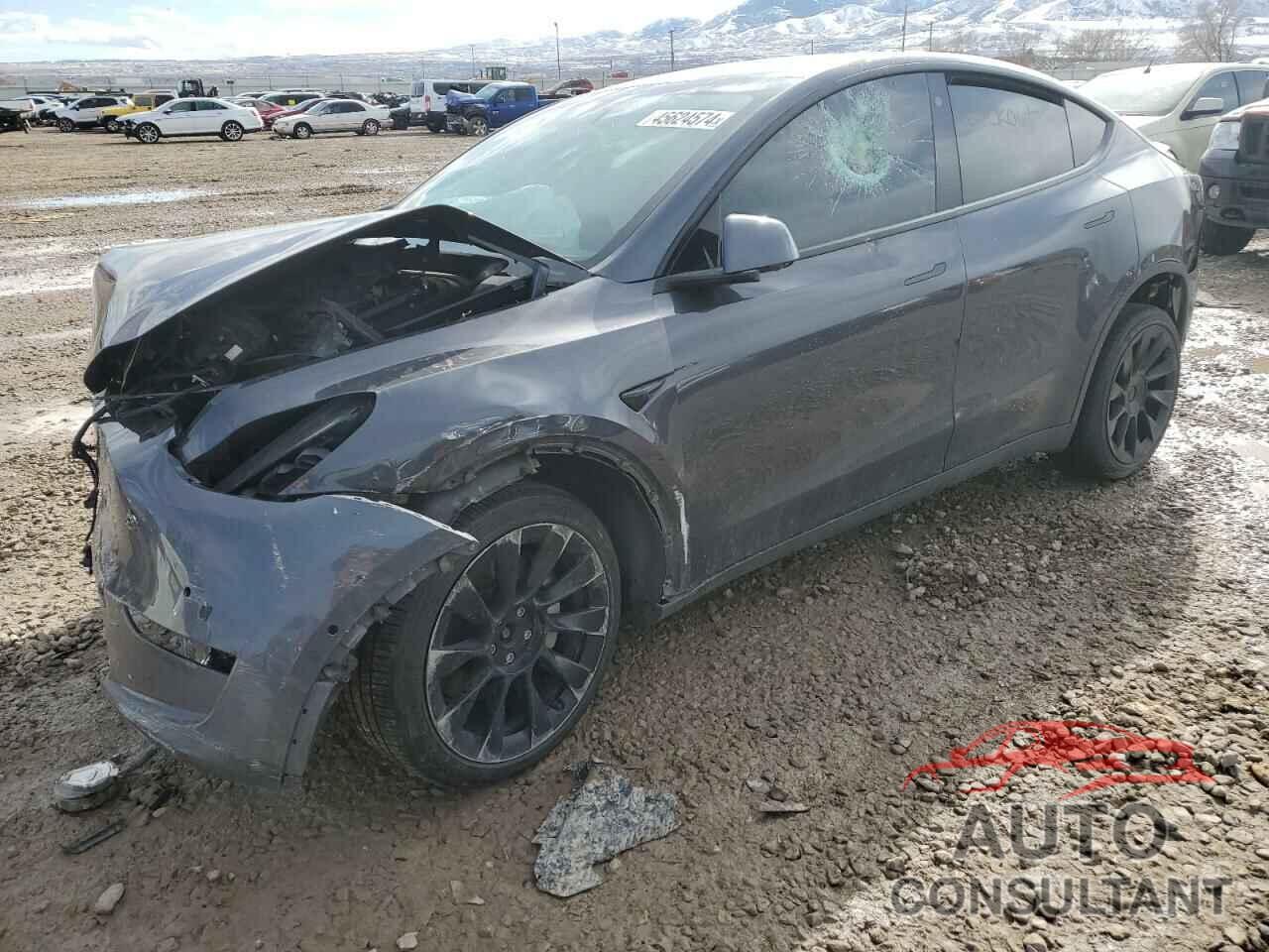 TESLA MODEL Y 2021 - 5YJYGDEE4MF282581